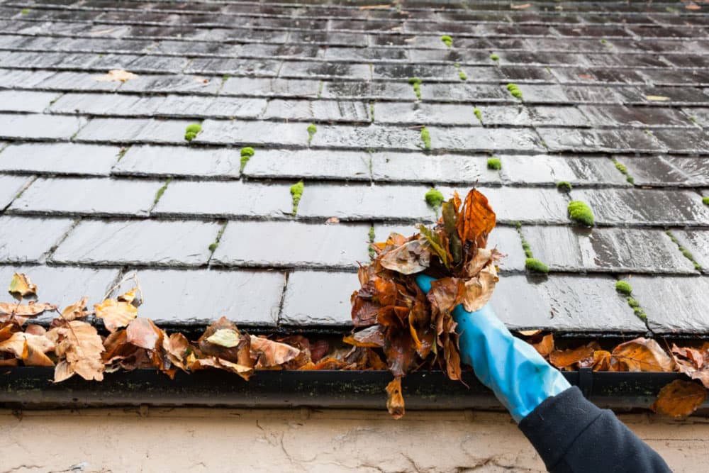 gutters cleaning is essential