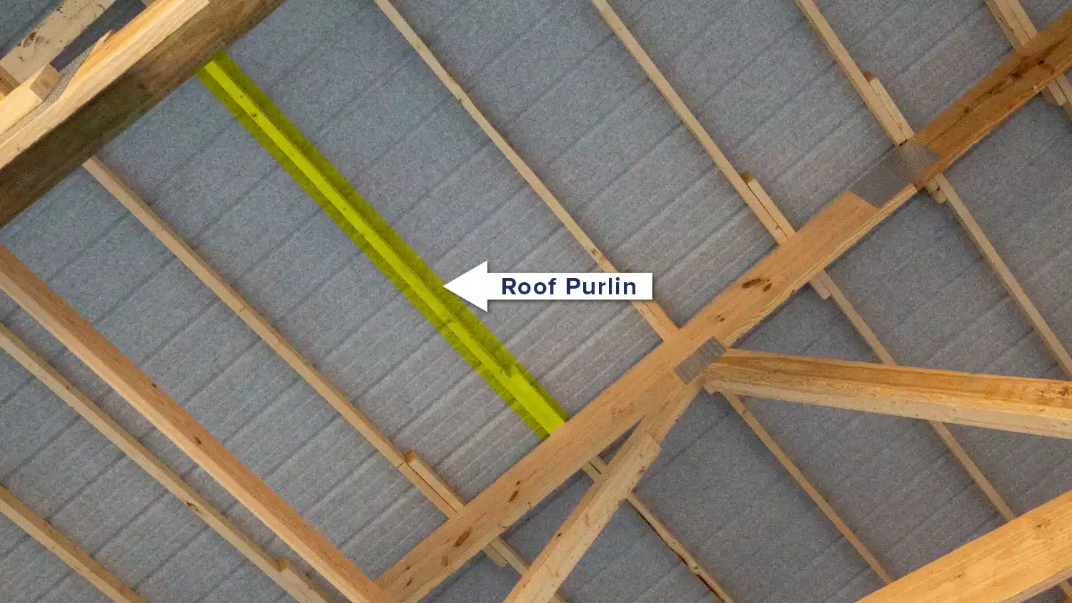 Roof Purlins